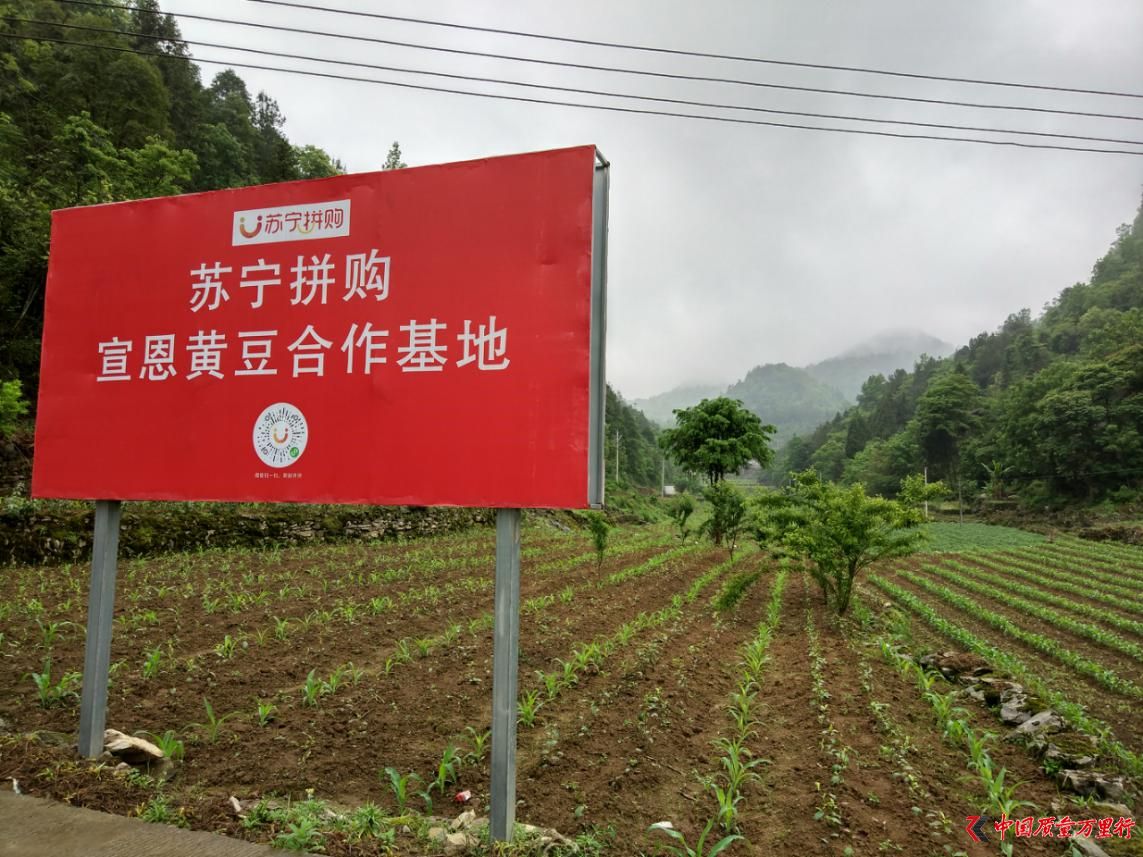 “两会”召开在即 苏宁张近东建言：发展c2m基地